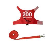JISADER Harness and Leash Set, Small Chest Harness, for Adult Small Reptiles, Squirrels and Outdoor Walks, Dinosaur Skeleton Print