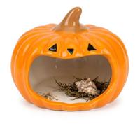 JISADER Hermit Crab Hideout Ceramic Pumpkin Reptile Cave Smooth Freestanding Tank Decor for Geckos Frogs and Amphibians, Halloween Pumpkin