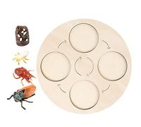 JISADER Life Growth Cycle Board Early #Educational for Preschool Kids, Cicada
