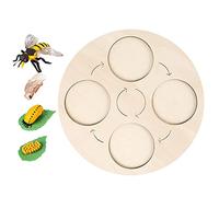 JISADER Life Growth Cycle Board Early #Educational for Preschool Kids, Ladybug