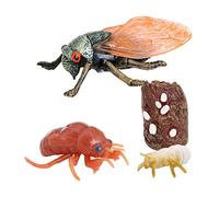 JISADER Sea Playset Animal Life Cycle Model Simulation Toy Teaching Aid Educational Suitable for Gift Giving Home, Cicada
