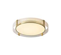 JISHUBO Creative Personality Metal Glass Ceiling Lamp, LED Flush Mount Ceiling Light Fixture, 3000K-6000K Dimming Ceiling Lamp, Acrylic Lampshade Flat Lamp, Bedroom Dining Room Decoration LightingFixt