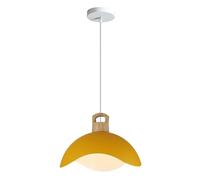 JISHUBO Fashion Ceiling Chandeliers, Creative Colored Hanging Light Lampshades, Embedded Installation Lamps, E27 Single Pendant Lamp, Bedroom Dining Room Balcony Decorated With Pendant Light.