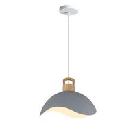 JISHUBO Fashion Ceiling Chandeliers, Creative Colored Hanging Light Lampshades, Embedded Installation Lamps, E27 Single Pendant Lamp, Bedroom Dining Room Balcony Decorated With Pendant Light.