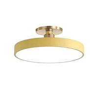 JISHUBO Round Wrought Iron Ceiling Lamp, LED Flush Mount Ceiling Light, Three-color Dimming Ceiling Light, Surface Mount Ceiling Light Fixture, Acrylic Lampshade Flat Lamp
