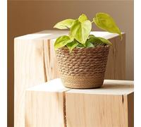 JITASHWA Woven Plant Pot with Liner, Seagrass Planter Basket, Decorative Flower Pots Cover, Indoor Planter Plant Containers, Home Decoration, Medium