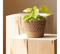 JITASHWA Woven Plant Pot with Liner, Seagrass Planter Basket, Decorative Flower Pots Cover, Indoor Planter Plant Containers, Home Decoration, Small