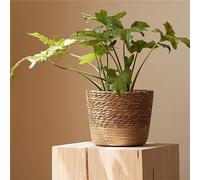 JITASHWA Woven Plant Pot with Liner, Seagrass Planter Basket, Decorative Flower Pots Cover, Indoor Planter Plant Containers, Home Decoration, Small (L)