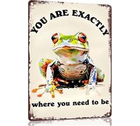 JIUFOTK Funny Frog Mushroom Quote Sign Wall Decor, Retro You are Exactly Where You Need to Be Metal Sign for Home Bedroom Cafe Bar Decor Gifts 8x12 Inch