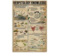 JIUFOTK Herpetology Knowledge Metal Sign Amphibian and Reptile Poster Anatomy Infographic School Education Farm Family Club Wall Decoration Plaque 12x16 Inches