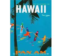 JIUFOTK Metal Sign Wall Plaque Jet Hawaii To Hawaii Pan Am United States Vintage Travel Art Decor House Home Tin Signs Gift For Women Men