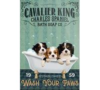 JIUFOTK Metal Wall Decor for Living Room Antique Metal Sign Cavalier King Charles Spaniel Dog Bath Tin Sign Vintage Decoration Garage Home Garden Cafes Kitchen Wall Tin Signs
