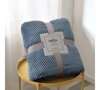 JIUJ Teddy Fleece Blanket Large Throw Over Bed Plush Super Soft Warm Sofa Bedspread-100 x 150cm (Blue)