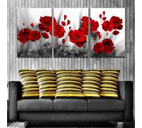 JIUJIUJIU Red Poppy Canvas Mural Wall Art Painting 3 Pieces Prints & Poster Modern Giclee Artwork For Living Room Bedroom Decor 42 * 60cm*3 Frameless
