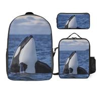 JiuPopular 3 In 1 Backpack Combination Set,Killer Whales Orca Ladybugs Pattern Infinite Speckled Monkey Pattern Banana Monkey Pattern Mexican Sugar Skull Monster Dinosaur Owl Animal Pattern Orange Cat