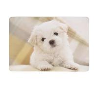JiuPopular Carpet Lovely Maltese Dog Rug, Soft Floor Mat For Living Room, Bedroom (100 X 150cm)
