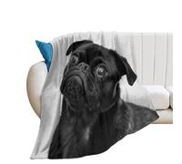JiuPopular Flannel Blanket, Cute Black Pug Dog Cute Cat Cute Corgi Cute Hedgehog Cute French Bulldog Dalmatian Darts Target Dog Bones Paw Prints Dolphin Train Flag of Mexico Flag of Maryland Fantasy