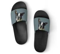 JiuPopular Non-Slip Slippers, Boston Terrier Sliders for Men And Women, Shower Slides