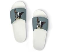 JiuPopular Non-Slip Slippers, Boston Terrier Sliders for Men And Women, Shower Slides