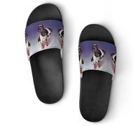 JiuPopular Non-Slip Slippers, Boxing Boston Terrier Sliders for Men And Women, Shower Slides