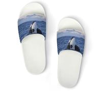 JiuPopular Non-Slip Slippers, Killer Whales Orca Sliders for Men And Women, Shower Slides