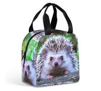 JiuPopular Portable Aluminum Foil Insulated Lunch Bag,Cute Little Hedgehog,Cross-Body and Hand-held, Easy to Use