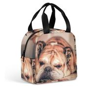 JiuPopular Portable Aluminum Foil Insulated Lunch Bag,English Bulldog,Cross-Body and Hand-held, Easy to Use