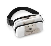 JiuPopular Waist Bag, Polar Bear Bumbag, Adjustable Fanny Pack for Running Walking Hiking
