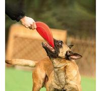 JIUSILIFE Flying Disc Dog Toy,Dog Flying Disc,Dog Soft Rubber Interactive Flying Disc Dog Toy,Flyer Rubber Disc Dog Toy for Small Large Dogs,Floats in Water & Safe on Teeth,2 Pieces,Red