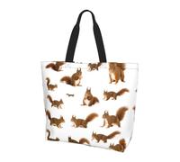 JIUTY Cute Squirrel Print