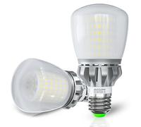 JIUYUAN 27 W E27 LED Light Bulb, Cool White 5000K, 3760LM LED Bulbs, E27 Halogen 250 W Equivalent, Standard A60 Bulb, Large Screw, No Dimmable, Pack of 2