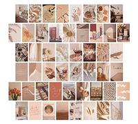 jiuzcare Art Postcards Set of 50, 4x6 Inch Assorted Aesthetic Designs, Laminated Blank Back Cards for Writing, Decorative Vintage Style Collection in Storage Box