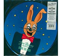 Jive Bunny And The Mastermixers - Swing the mood (Picturedisc) [VINYL]