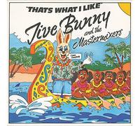 Jive Bunny & The Mastermixers - That's what I like [VINYL]