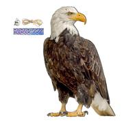 Jiwyunlu Farm Protector Bird Scarer - Bird Repeller Flat Hawk - repelling Bells, 2d Owl Birds Repeller, Sound of The Bell Was Moderate, Can Be Hung in Orchards, Gardens, and Balconies