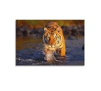 JIYAYCU Animal Artwork Poster Tiger by The River Decorative Painting Canvas Art Picture 20x30inch(50x75cm)