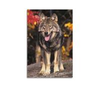 JIYAYCU Animal Poster Look Away from The Wolves Decorative Painting Canvas Art Picture 16x24inch(40x60cm)