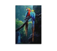 JIYAYCU Animal Poster Two Parrots in The Rain Decorative Painting Canvas Art Picture 12x18inch(30x45cm)