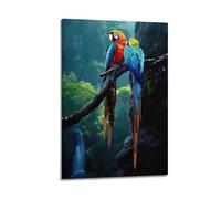 JIYAYCU Animal Poster Two Parrots in The Rain Decorative Painting Canvas Art Picture 12x18inch(30x45cm)