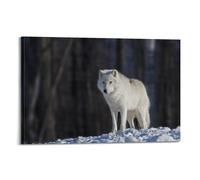 JIYAYCU Animals Poster White Wolf in The Snow Decorative Painting Canvas Art Picture 16x24inch(40x60cm)
