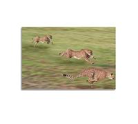 JIYUN Animal Art Pose of A Running Cheetah Poster Decorative Painting Canvas Wall Posters And Art Picture Print Modern Family Bedroom Decor Posters 16x24inch(40x60cm)