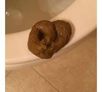 JIzian Fake Poopy Toy, Brown Realistic Fake Poop, Novelty Floating Fake Poop Toys for April Fools' Day Prank, Perfect Gag Gift, Prank Gift, Poopy Games