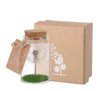 JIZZU Real Dandelion in a Glass with Gift Box, Eternal Dandelion Light Decoration for Birthday, Led String Light Gift for Women, Romantic Gifts for Girlfriend Birthday, Mother's Day Gifts for Mum