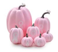 JJaydaily Pumpkin Decor Set of 7, Breast Cancer Awareness Fall Decorations with Ribbon, Autumn Harvest Table Centerpieces, Pink Ribbon Support for Women, Home & Tabletop Decor (light pink)
