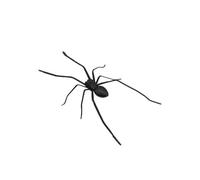 JJIAGOLD 3D Realistic Prank Giant Spider Toy, Black Plastic Spiders for Halloween Party Decorations - Spook Your Friends with Fun (Black)