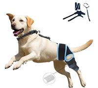 Jjkygmw Dog ACL Brace with 10 Upgraded Support Chains - Extra Support for Hind Leg, Torn ACL, and Joint Injury, Adjustable Wrap for Canine Knee, and Ankle,Comfortable and Supportive(Blue L Size)
