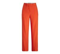 JJXX Women's Jxmary Hw Pant PNT Noos, Poinciana, 31W x 30L