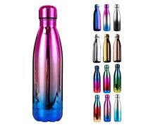 JK Home 500ml Water Bottle 304 Stainless Steel Double Walled Vacuum Flasks Keeps Cold for 24 Hours, Hot for 12 Hours Electroplate A:Pink Blue