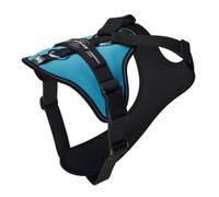 JK9 Longwalk Light Dog Harness with Tracker Pocket, Aquamarine, Size: XL