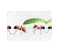 JKDGOJ Anti Slip Floor mat Little Ants Hiding from The rain Prints for Indoor and Outdoor Door mats, Suitable for Bedroom and Bathroom entrances 16x24in